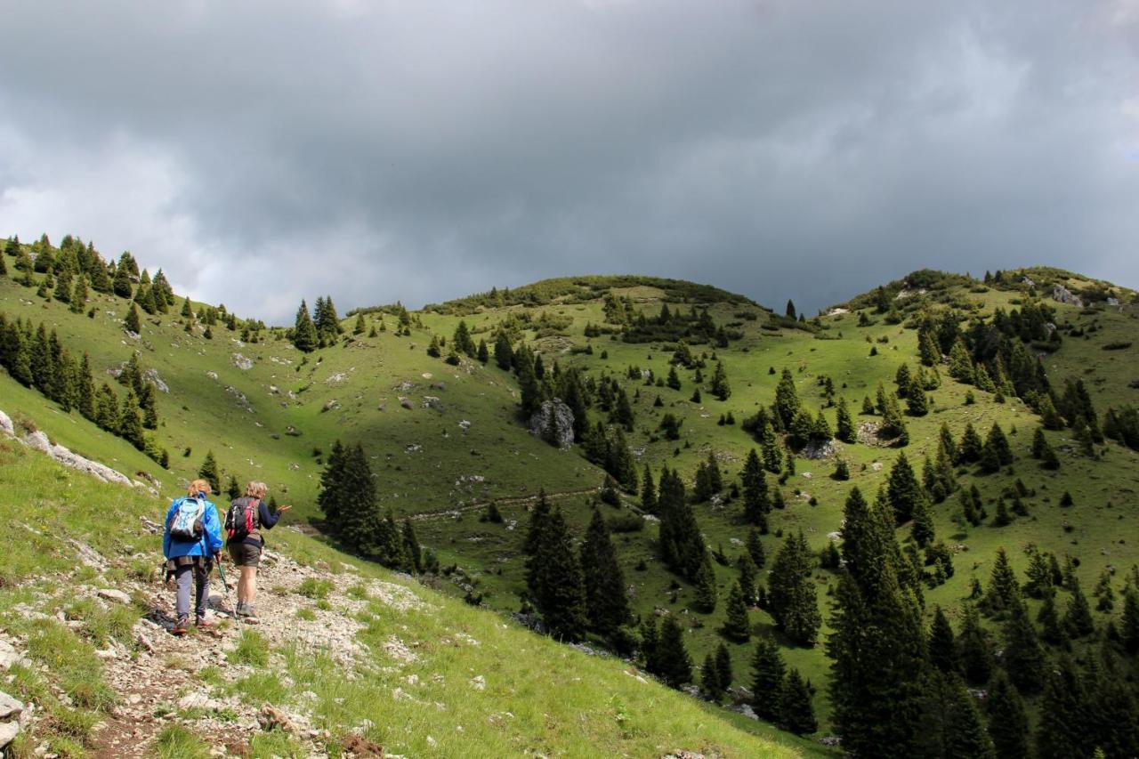 Alpieve Albergo Pieve Pieve Di Ledro Kültér fotó